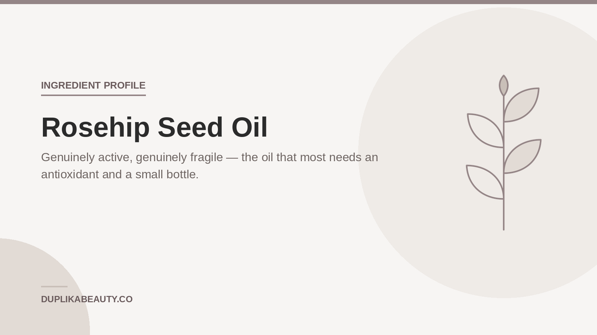 Rosehip Seed Oil